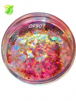 OF 6Color Code Opal Chameleon Flakes