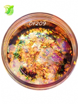 OF 6Color Code Opal Chameleon Flakes